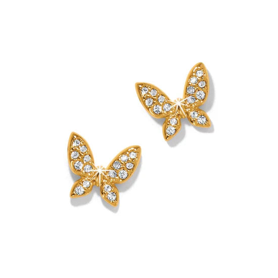 Fashion Earrings for Women-Brighton | Enchanting Butterfly Post Earrings in Gold